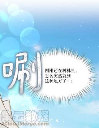 绿荫之冠27.谈判前的准备