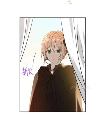 绿荫之冠27.谈判前的准备