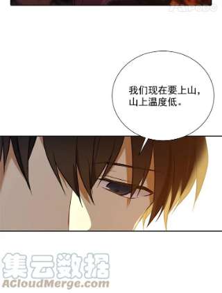 绿荫之冠28.拉奇亚的冬天