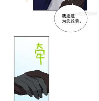 绿荫之冠28.拉奇亚的冬天