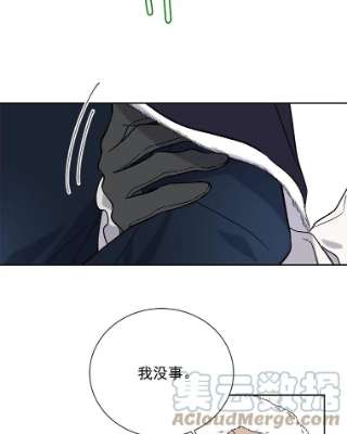 绿荫之冠29.他笑了？