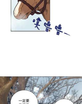 绿荫之冠29.他笑了？