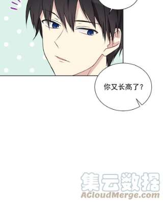 绿荫之冠29.他笑了？