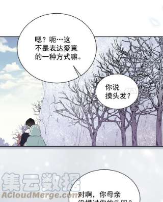 绿荫之冠29.他笑了？