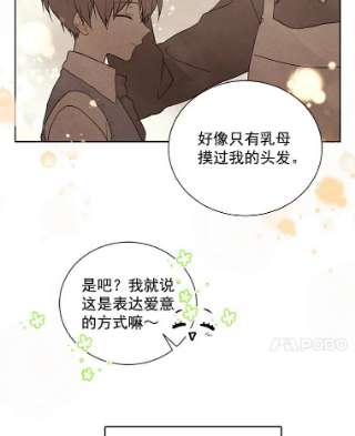 绿荫之冠29.他笑了？