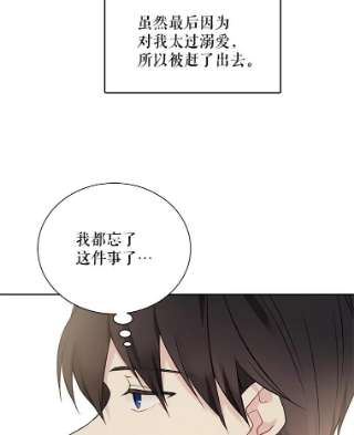 绿荫之冠29.他笑了？