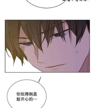 绿荫之冠31.吐露心声