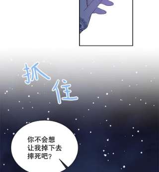 绿荫之冠32.约定