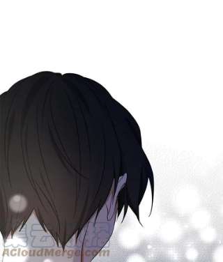 绿荫之冠32.约定