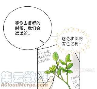 绿荫之冠33.争夺冰晶