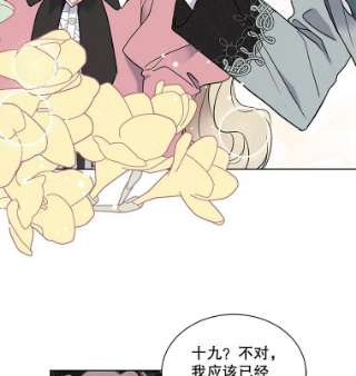 绿荫之冠33.争夺冰晶