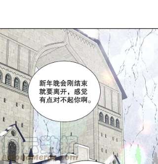 绿荫之冠33.争夺冰晶