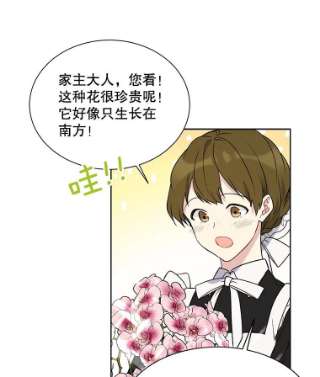 绿荫之冠34.他的真面目