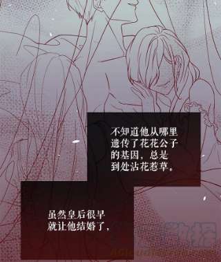 绿荫之冠35.茶话会