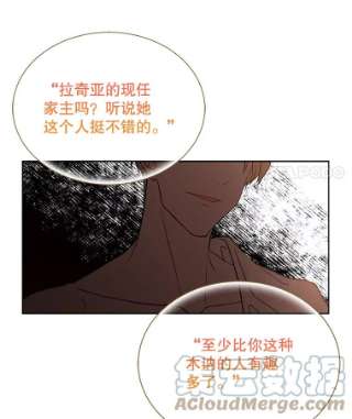 绿荫之冠35.茶话会