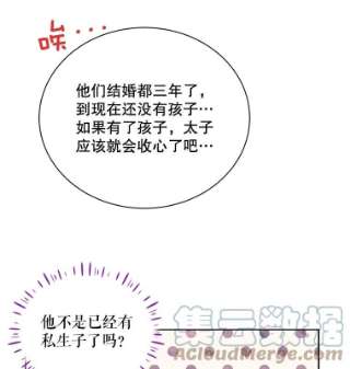 绿荫之冠35.茶话会