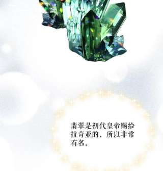 绿荫之冠35.茶话会