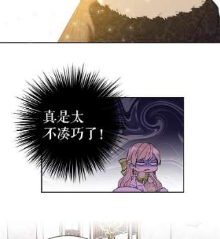 绿荫之冠35.茶话会