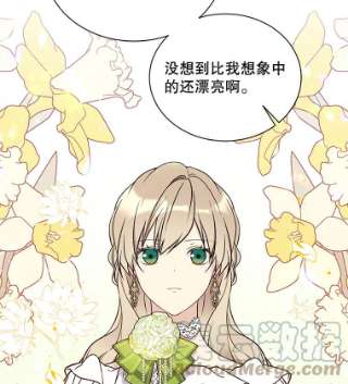 绿荫之冠35.茶话会