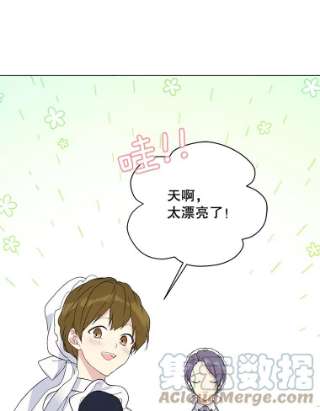 绿荫之冠36.战争打响