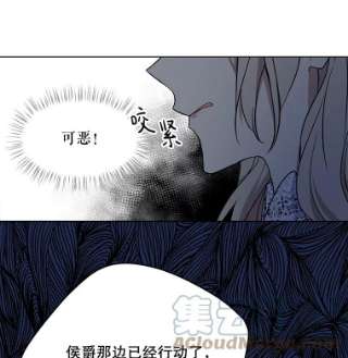 绿荫之冠36.战争打响