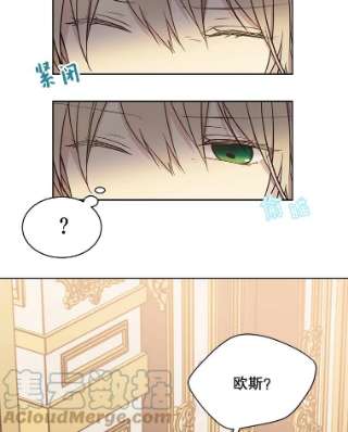 绿荫之冠38.结下世仇