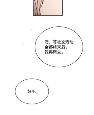 绿荫之冠39.关于背叛