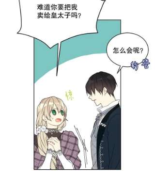 绿荫之冠40.拜访二皇子