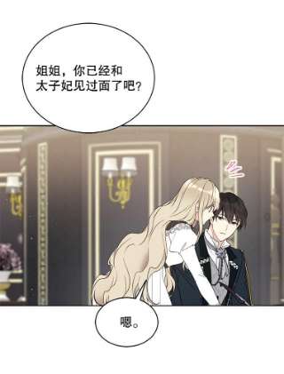 绿荫之冠40.拜访二皇子