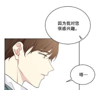 绿荫之冠40.拜访二皇子