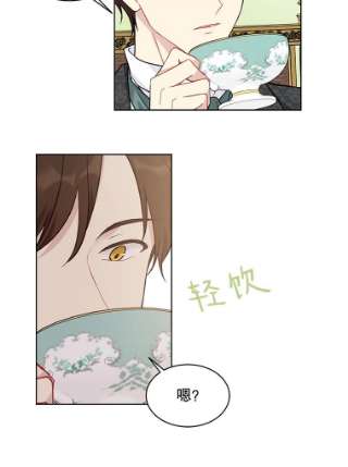 绿荫之冠40.拜访二皇子