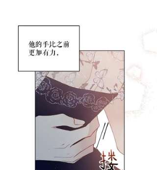 绿荫之冠42.来信