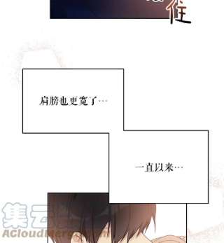 绿荫之冠42.来信