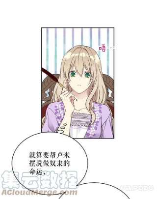 绿荫之冠42.来信