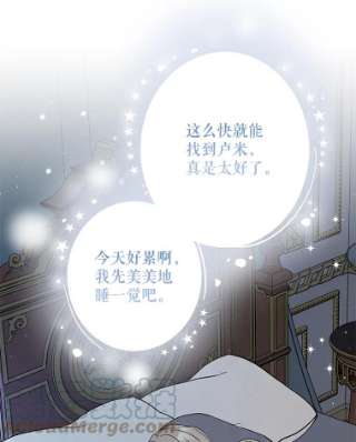 绿荫之冠42.来信