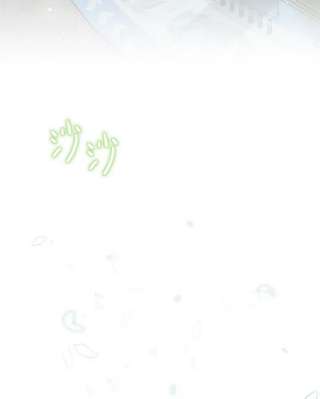 绿荫之冠42.来信