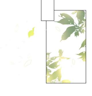 绿荫之冠42.来信