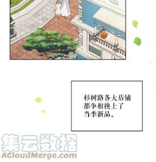 绿荫之冠42.来信