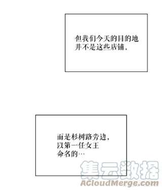 绿荫之冠42.来信