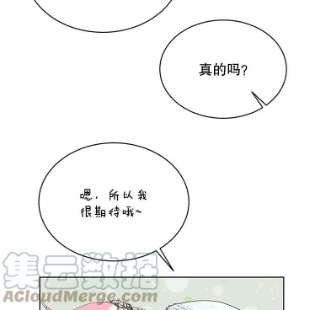 绿荫之冠42.来信