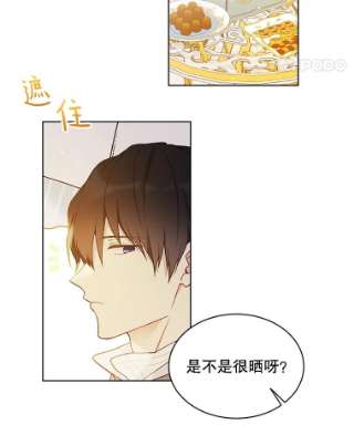 绿荫之冠42.来信