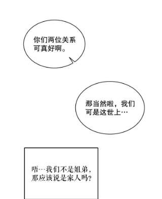 绿荫之冠42.来信