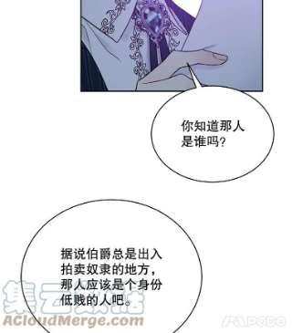 绿荫之冠43.第一次野餐