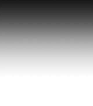 绿荫之冠43.第一次野餐