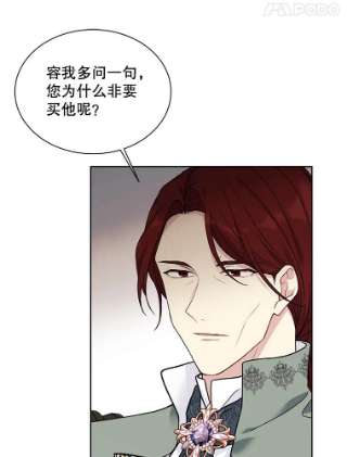 绿荫之冠43.第一次野餐