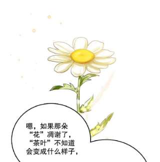 绿荫之冠43.第一次野餐