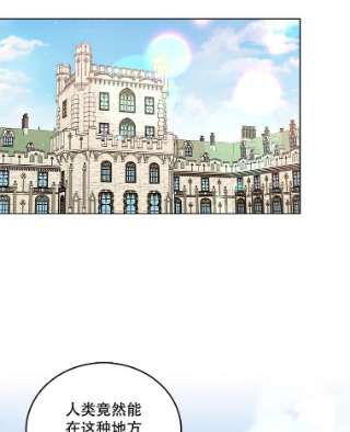 绿荫之冠43.第一次野餐