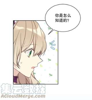 绿荫之冠43.第一次野餐