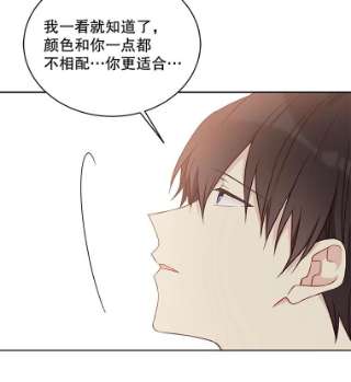 绿荫之冠43.第一次野餐