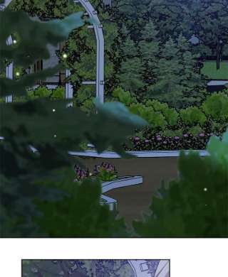 绿荫之冠44.伪造身份